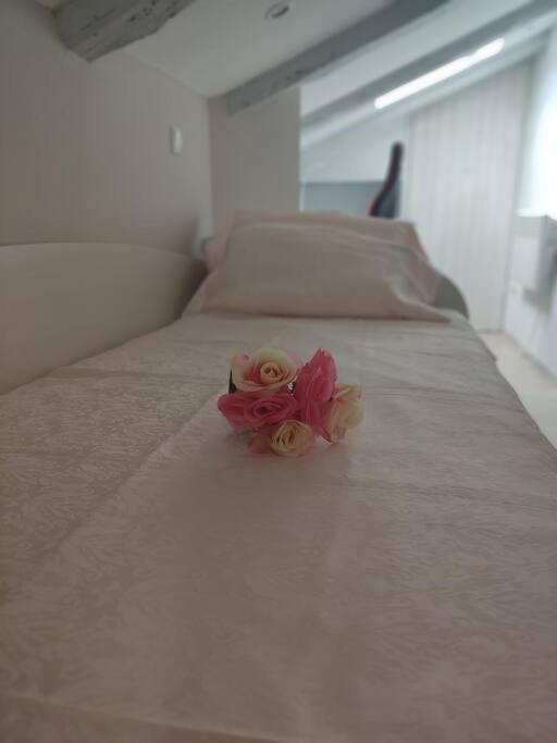 Bird View Apartment Carlissima Trogir Luaran gambar