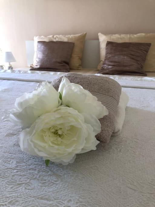 Bird View Apartment Carlissima Trogir Luaran gambar